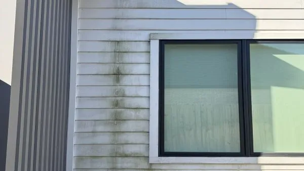 Close-up of house siding near window before soft washing by Stonevale Exterior Co. showing algae and mold growth