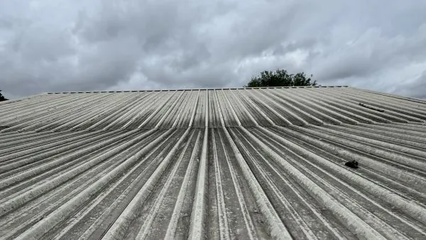 Commercial barn metal roof before washing by Stonevale Exterior Co. showing moss and algae buildup
